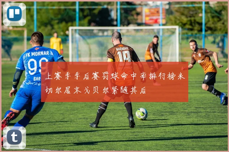 上赛季季后赛罚球命中率排行榜米切尔居末戈贝尔紧随其后